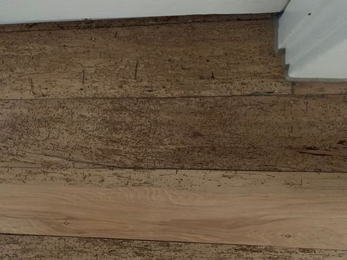 AC32BA9D-37F1-4827-9102-869FEA5E36B8.jpeg AC32BA9D-37F1-4827-9102-869FEA5E36B8.jpeg