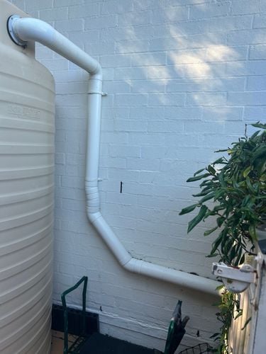 IMG_5193.jpeg IMG_5193.jpeg