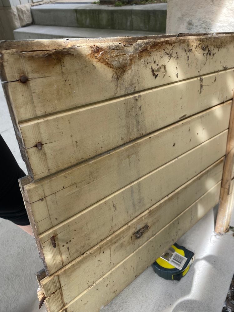 IMG_0929.jpeg IMG_0929.jpeg