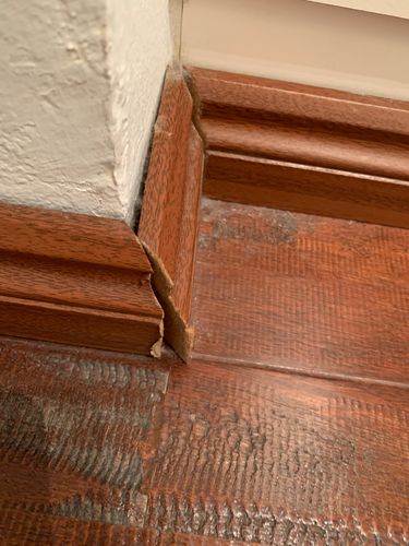 IMG_3987.jpeg IMG_3987.jpeg