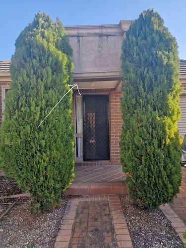 20250621_140750(1).jpg 20250621_140750(1).jpg