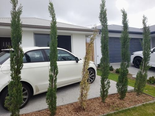 IMG_3856.jpeg IMG_3856.jpeg