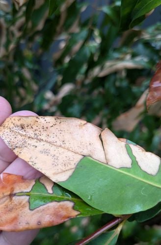 1000005424.jpg 1000005424.jpg