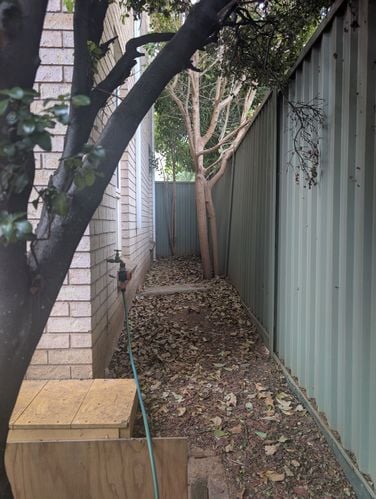 1000012365.jpg 1000012365.jpg