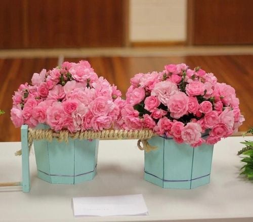 1F9E610A-03D1-4377-B5D1-FB8294C92C23.jpeg 1F9E610A-03D1-4377-B5D1-FB8294C92C23.jpeg