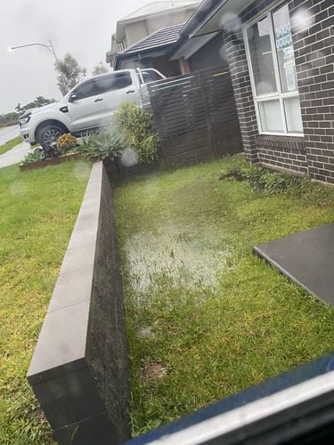 IMG_2724.jpg IMG_2724.jpg