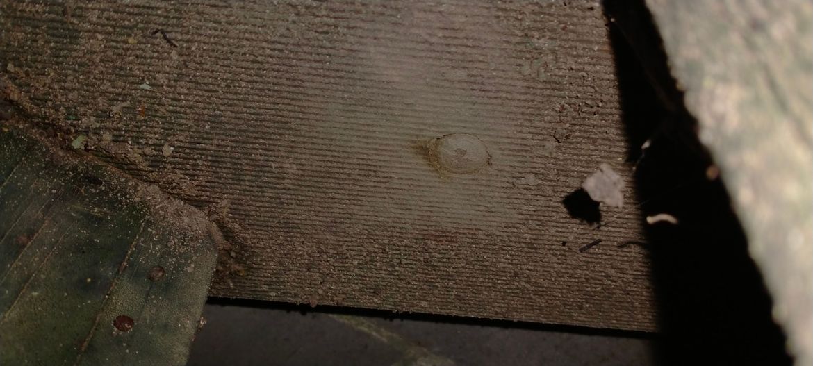 IMG20230501093049 - Copy.jpg IMG20230501093049 - Copy.jpg