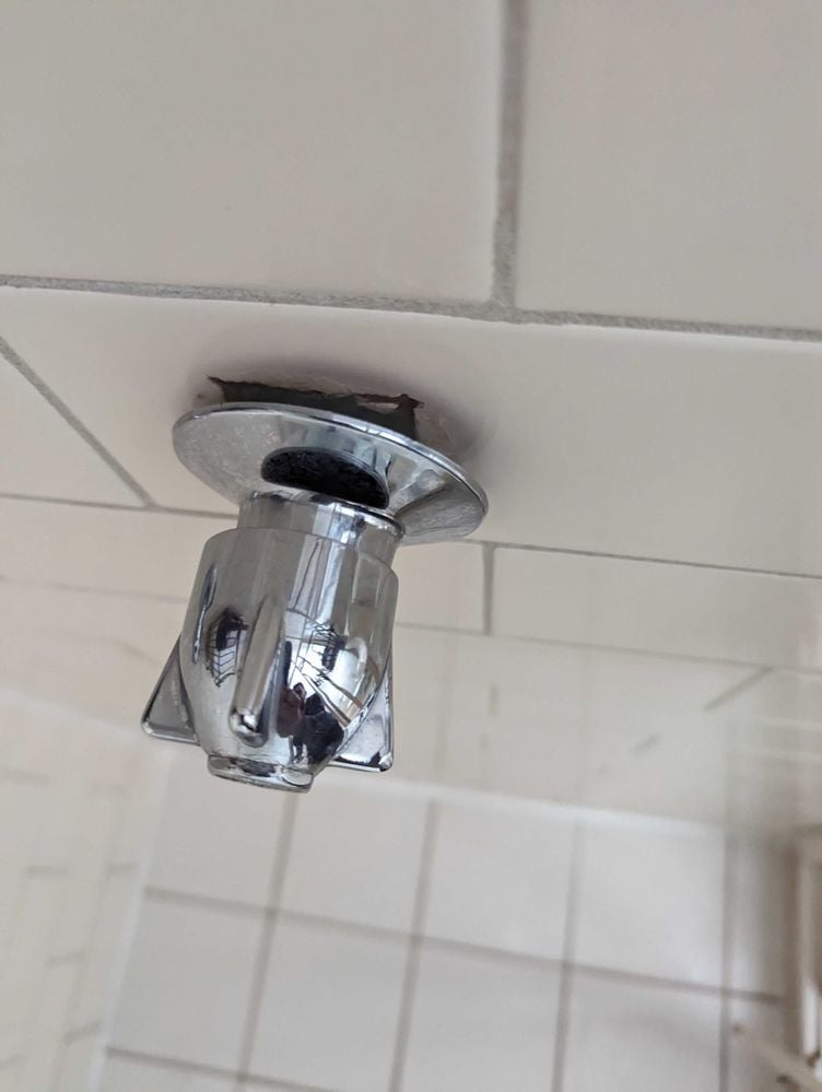 PXL_20231008_053055124.jpg PXL_20231008_053055124.jpg