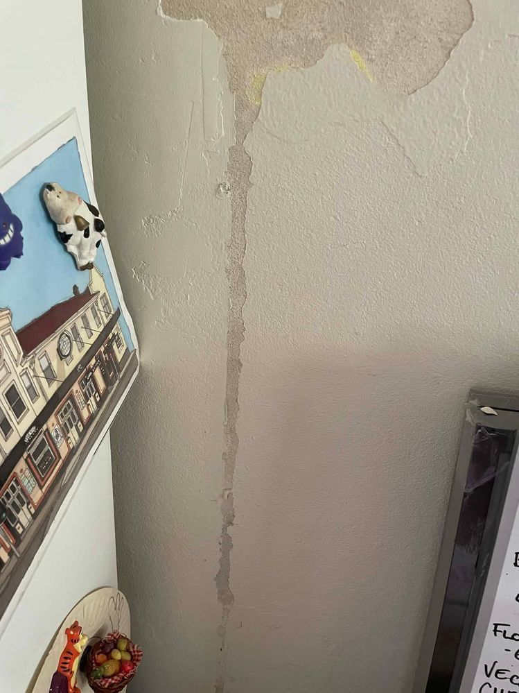 5a785d62-6fcf-4e96-a551-9a36c838b695.jpg 5a785d62-6fcf-4e96-a551-9a36c838b695.jpg