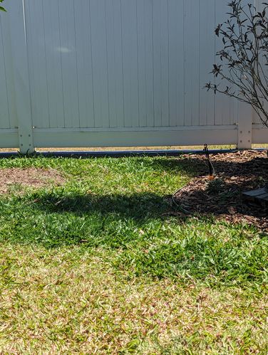 1000008489.jpg 1000008489.jpg