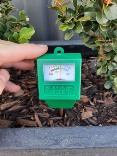 20220102_081331.jpg 20220102_081331.jpg