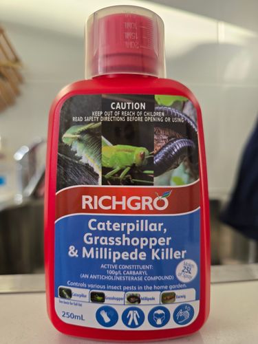 17326921183777882845604311468888.jpg 17326921183777882845604311468888.jpg