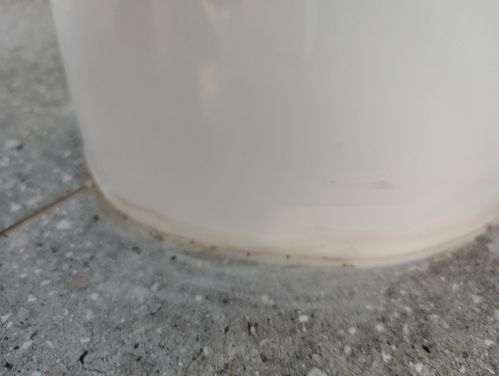 1000029095.jpg 1000029095.jpg