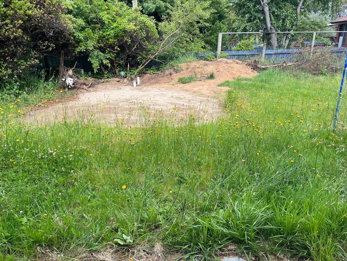 Image.jpeg Image.jpeg