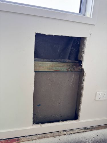 IMG_8787.jpg IMG_8787.jpg