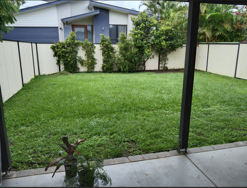 back yard.PNG back yard.PNG