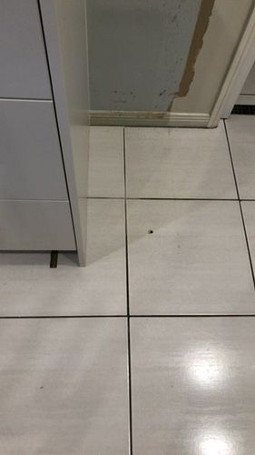 9E4C5BED-BB19-4D49-8D9B-BF2B965E66FB.jpeg 9E4C5BED-BB19-4D49-8D9B-BF2B965E66FB.jpeg