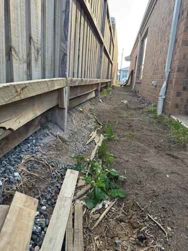 IMG_1509.jpeg IMG_1509.jpeg