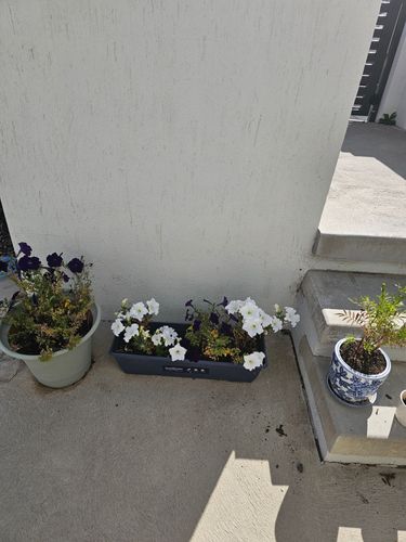 1000062499.jpg 1000062499.jpg