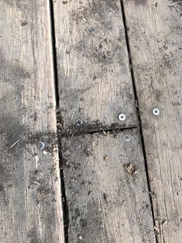 08 05-11-2023.jpg 08 05-11-2023.jpg