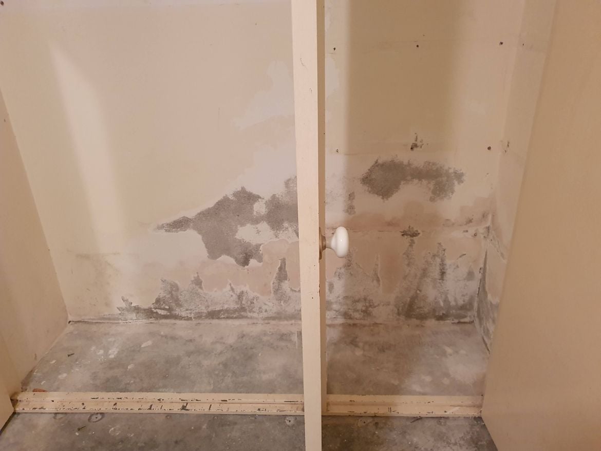 20240309_185835.jpg 20240309_185835.jpg