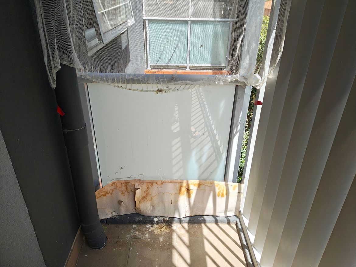 IMG_20241027_130615704_HDR.jpg IMG_20241027_130615704_HDR.jpg