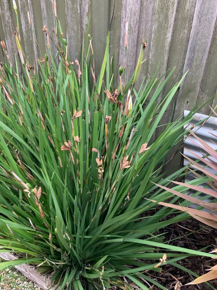 9BC9170D-C574-42A1-8E8F-555816A5A0CB.jpeg 9BC9170D-C574-42A1-8E8F-555816A5A0CB.jpeg