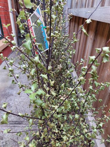 20230102_175454.jpg 20230102_175454.jpg