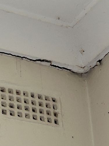 IMG_1021.jpeg IMG_1021.jpeg