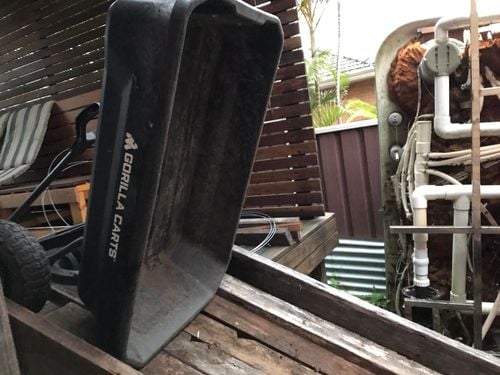 56 06-07-2024.jpg 56 06-07-2024.jpg