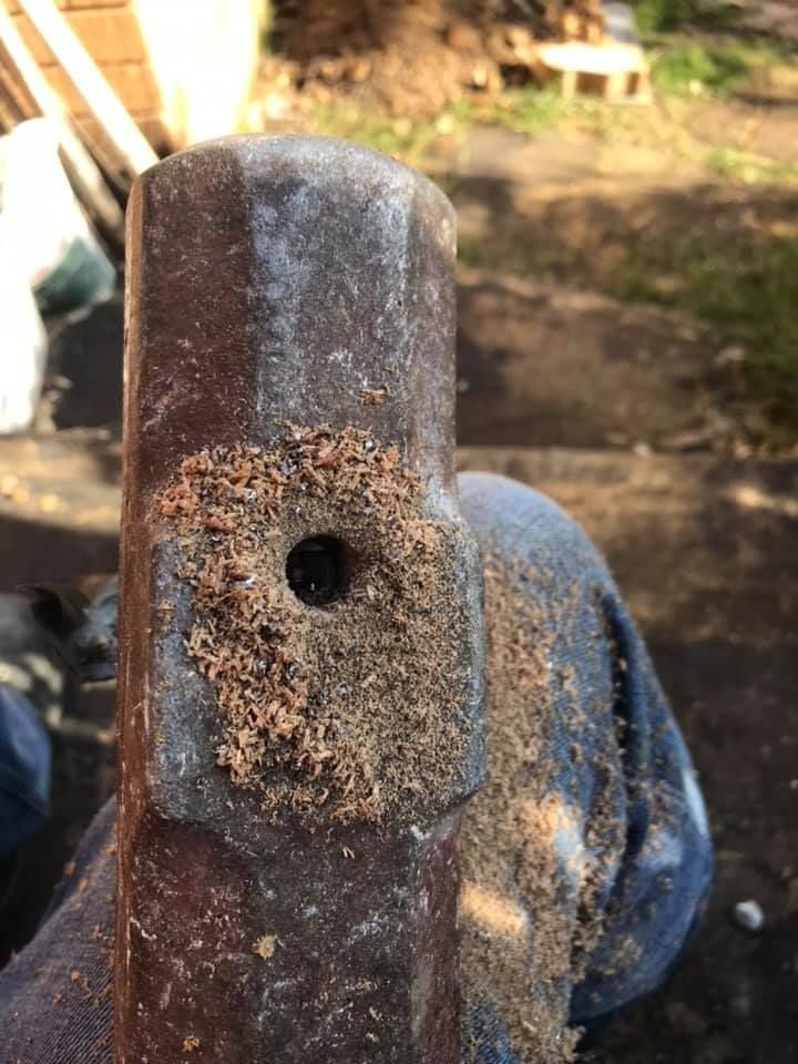 04 18-04-2021.jpg 04 18-04-2021.jpg