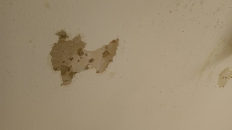 14 23-04-2018.jpg 14 23-04-2018.jpg