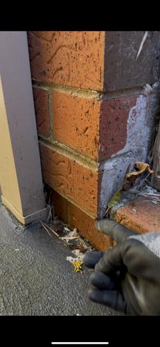 IMG_5696.png IMG_5696.png