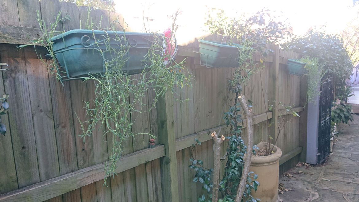 DSC_0382.JPG DSC_0382.JPG