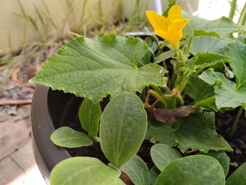 IMG_20231111_100458.jpg IMG_20231111_100458.jpg