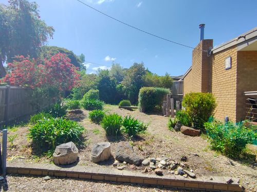 IMG20241103113506.jpg IMG20241103113506.jpg