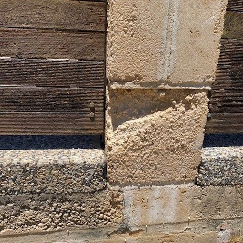 IMG_4563a.jpg IMG_4563a.jpg