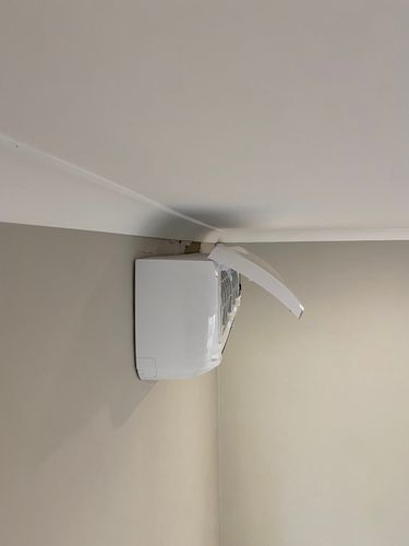 IMG_2767.jpeg IMG_2767.jpeg