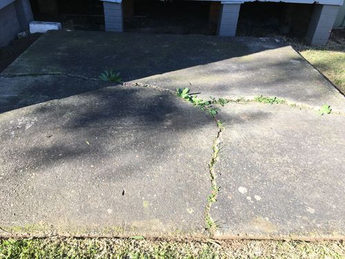 IMG_2581.JPG IMG_2581.JPG