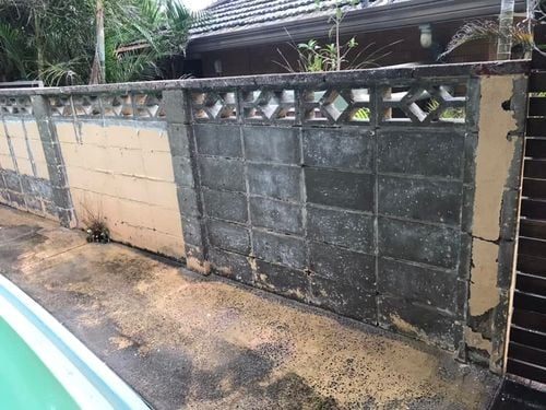 19 15-01-2024.jpg 19 15-01-2024.jpg