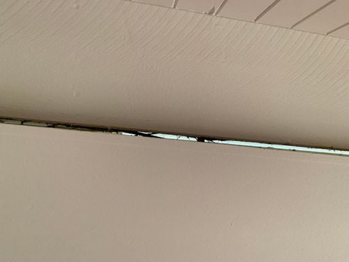 IMG_2059.jpeg IMG_2059.jpeg