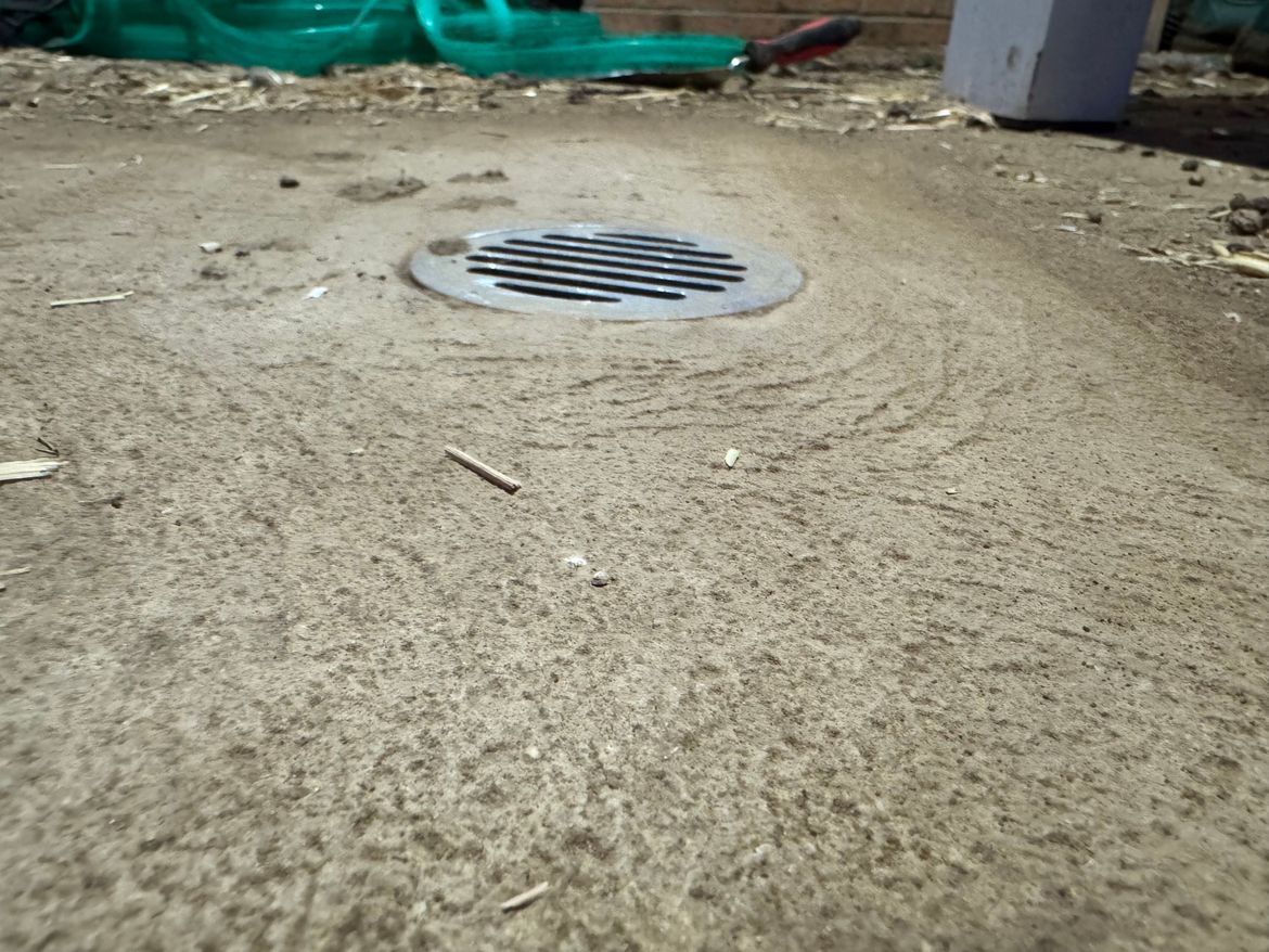 IMG_2447.jpeg IMG_2447.jpeg