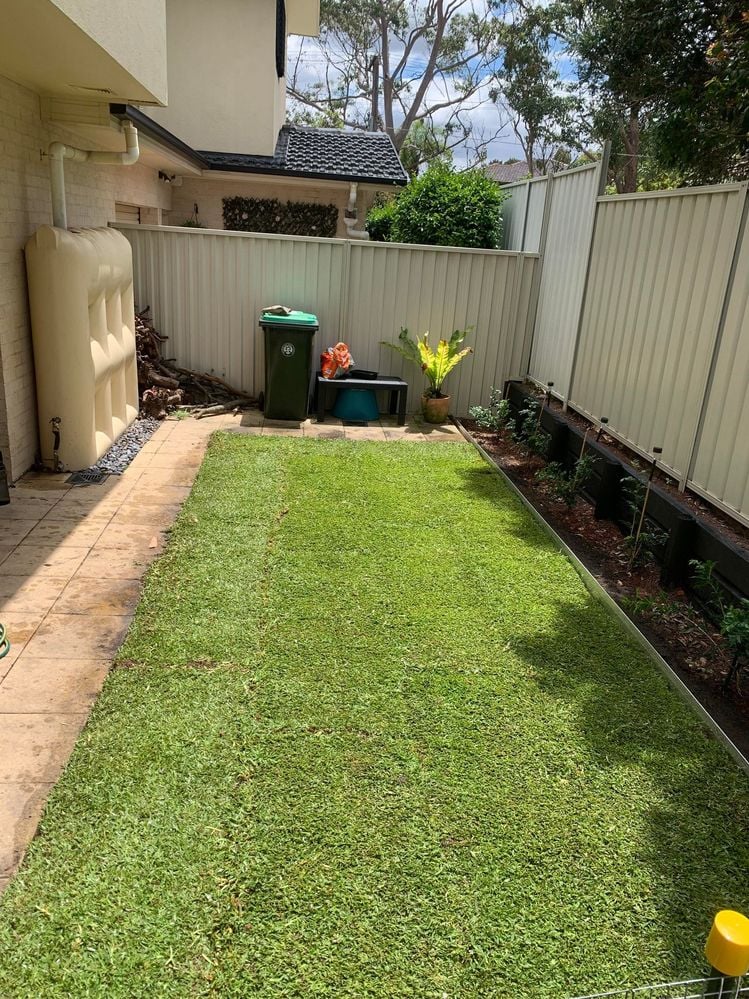 18 Nov.jpg 18 Nov.jpg