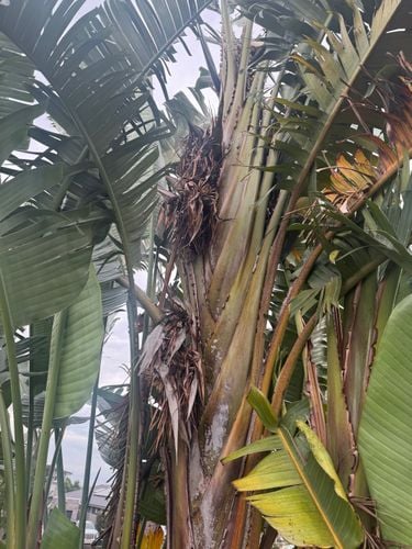 IMG_1414.jpeg IMG_1414.jpeg