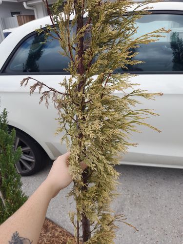 IMG_3857.jpeg IMG_3857.jpeg