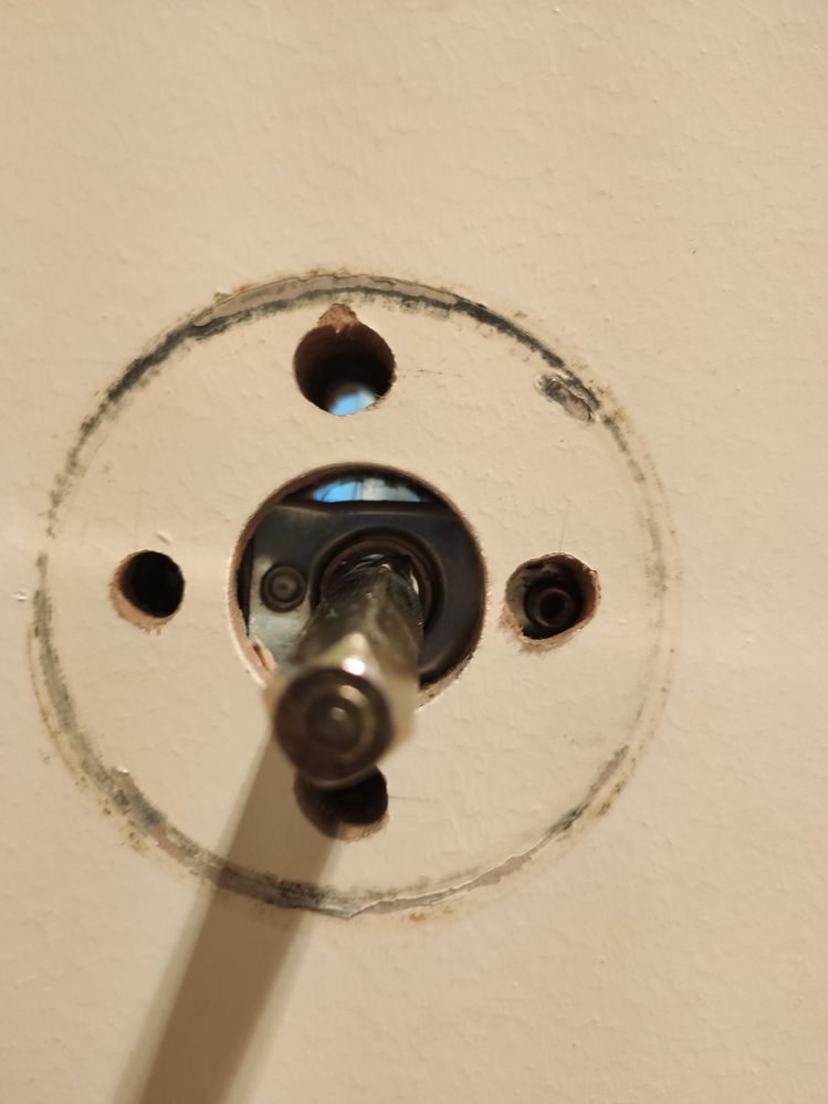 IMG_20200417_095728.jpg IMG_20200417_095728.jpg