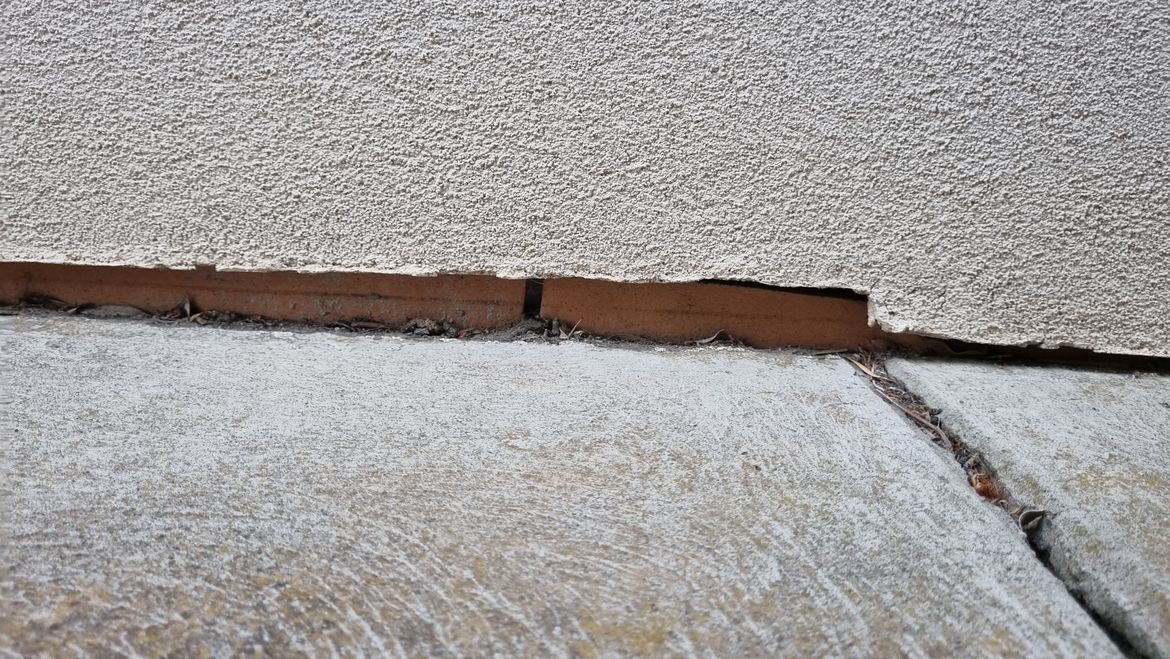 20230131_202836.jpg 20230131_202836.jpg