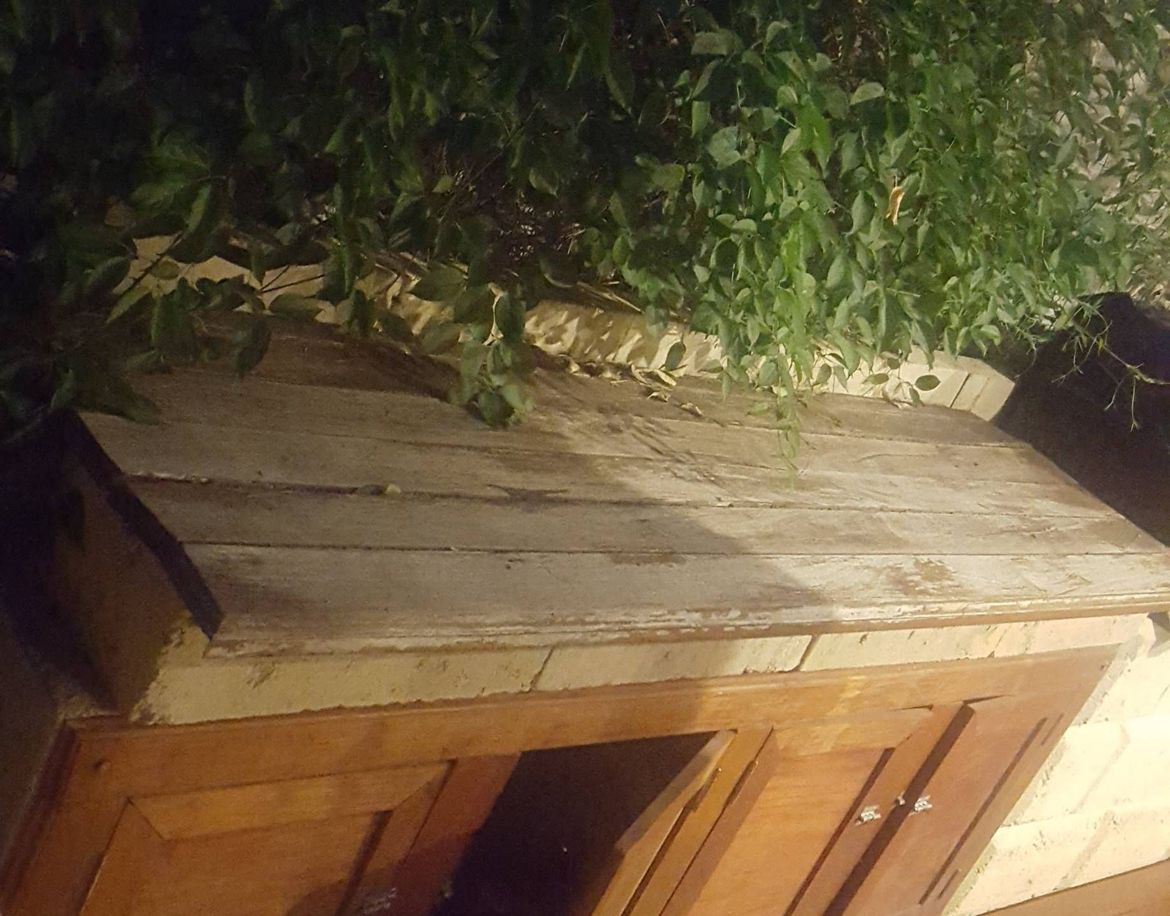 235E13B6-BE03-4103-9557-DECF5BFBE448.jpeg 235E13B6-BE03-4103-9557-DECF5BFBE448.jpeg