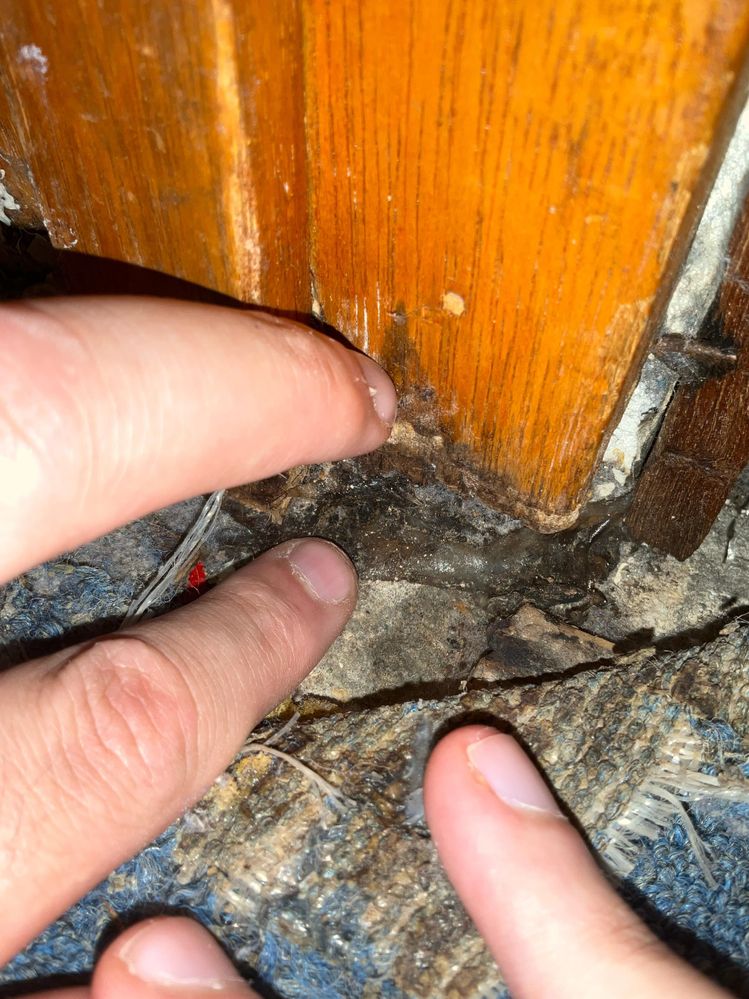 WhatsApp Image 2025-03-08 at 01.22.07.jpeg WhatsApp Image 2025-03-08 at 01.22.07.jpeg