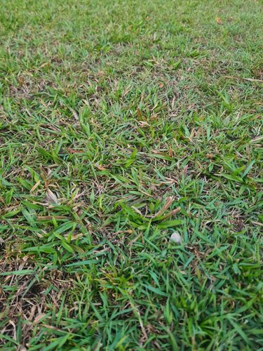 20240827_171915.jpg 20240827_171915.jpg